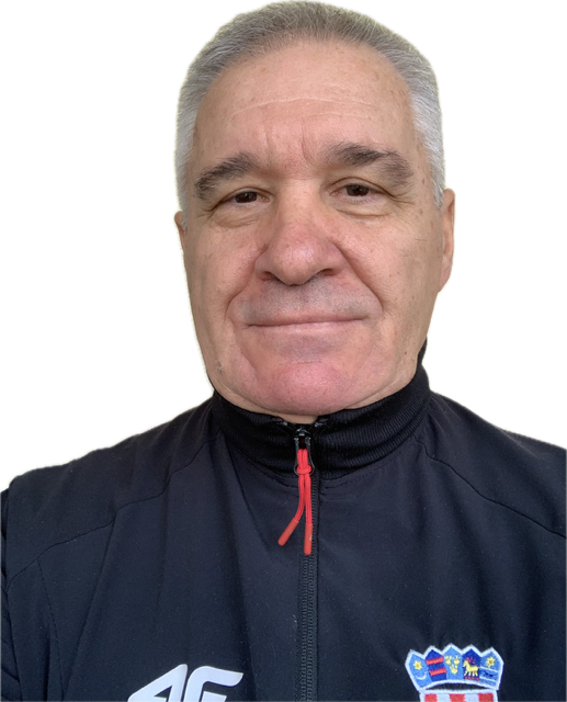 Zlatan  Muheljić
